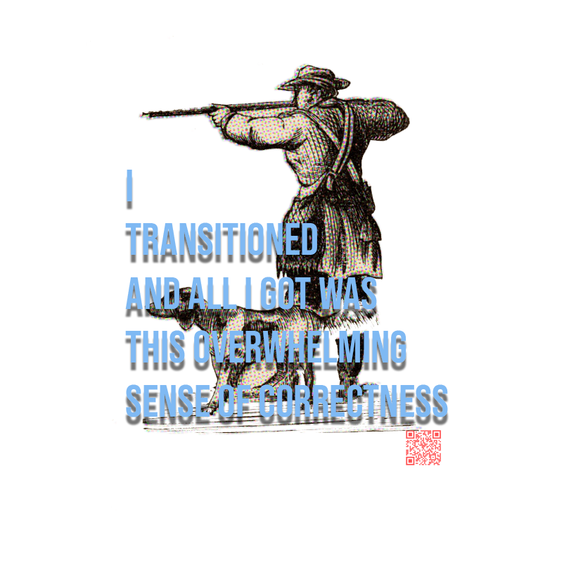 I Transitioned and All I Got Was This Overwhelming Sense of Correctness (transmasc)