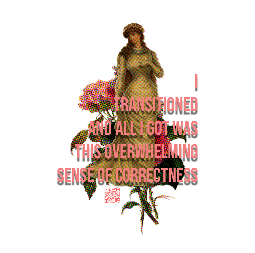 I Transitioned and All I Got Was This Overwhelming Sense of Correctness (transfem)