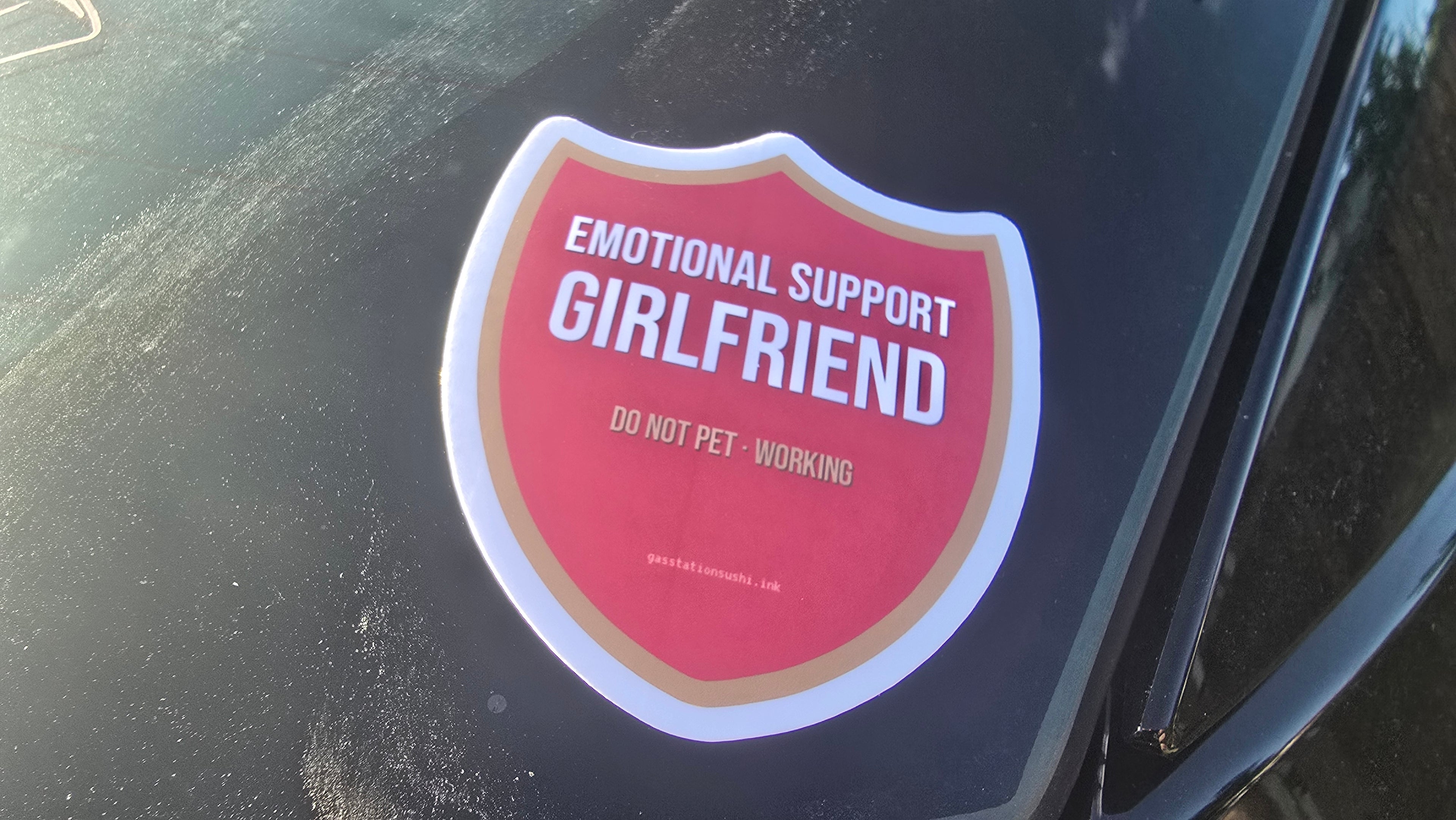 Emotional support girlfriend