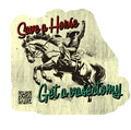 Save a horse, get a vasectomy